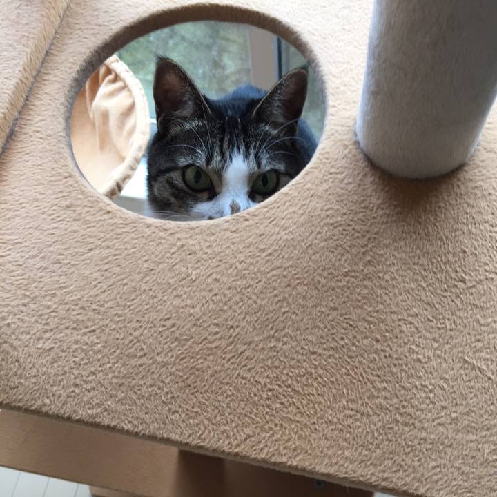 2d5868df cbd4 4f52 8396 1421f36f20e4