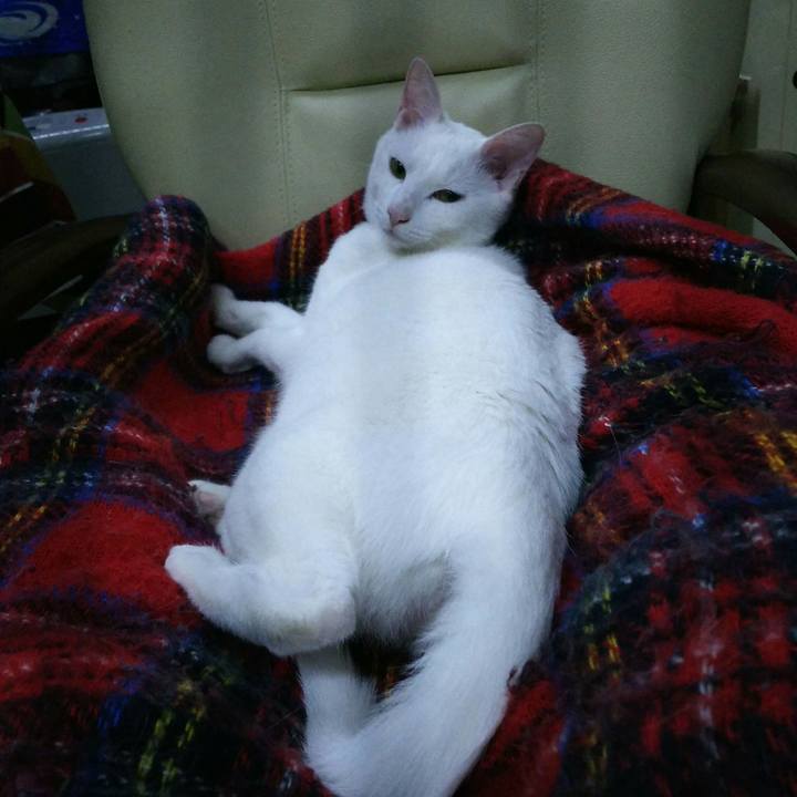 2d587cd8 d8cb 4509 bed6 7daa0a88aa07