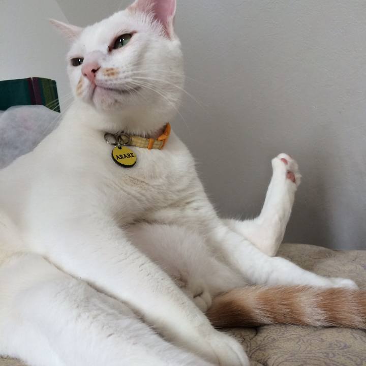 2d58b336 2c17 444c 8fea 28e5079967c8