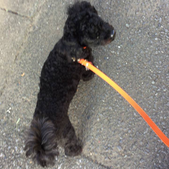 2d5aeb30 bf5d 43f2 8f78 4a4d773ae204