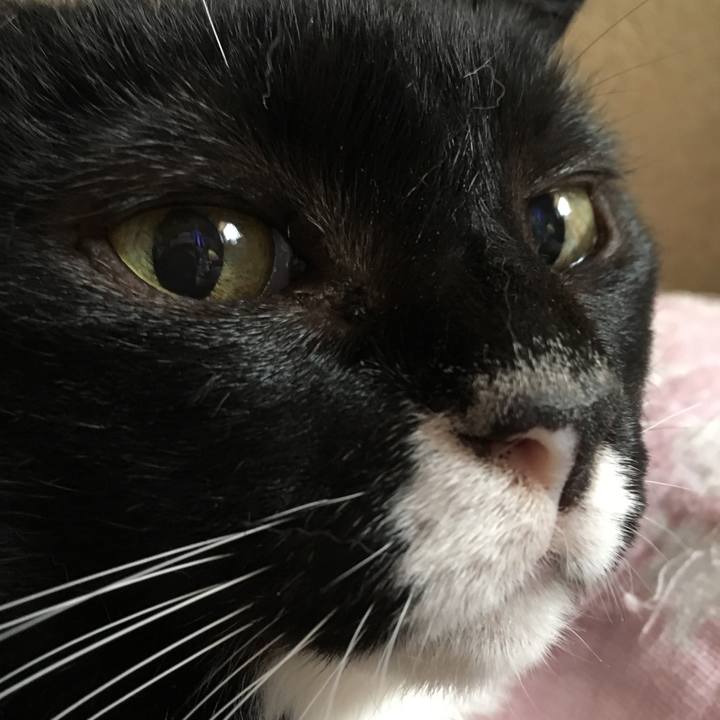 2d5b2dcd 5b00 46ec ba77 b7e5bde842ec