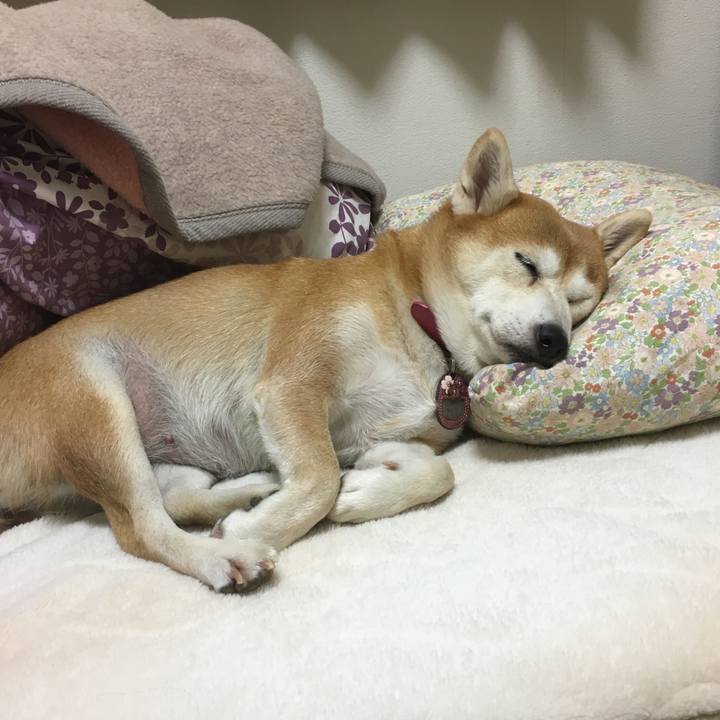 2d5b620e 09f2 4da5 9fb3 e67f804f272a