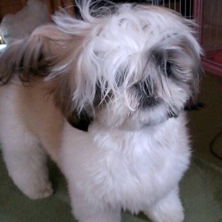 2d5bad53 9701 41d5 8cbc 7f67fbdbd800