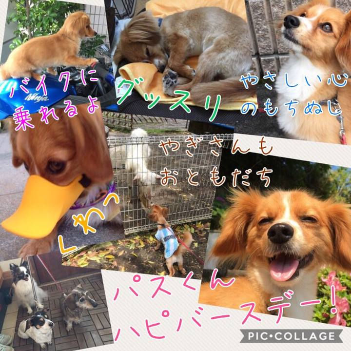 2d5c83db 8ea0 4311 b62e 3517b901e3b2