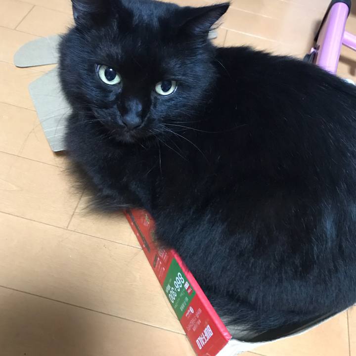 2d5c9040 ed62 4fe9 8bdb 6a46abf8e62e