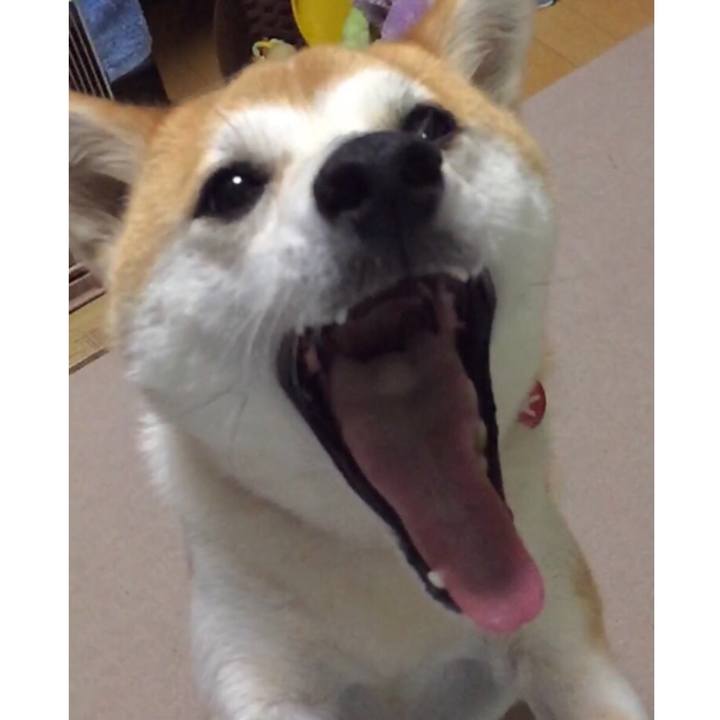 2d5c9d68 5eec 468d 8314 b80dd2d8c9ea