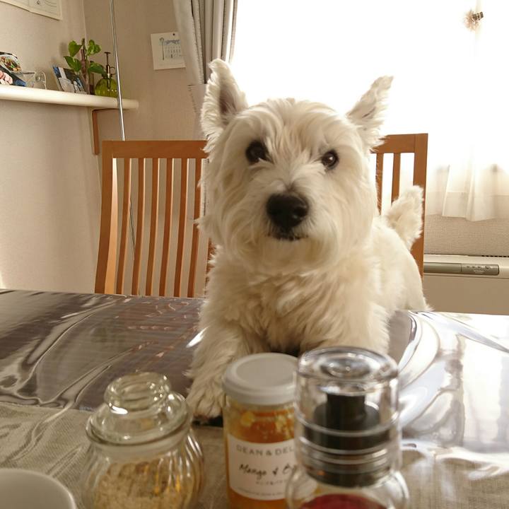 2d5cbd8f 430d 444e 852d 910ffd78264b