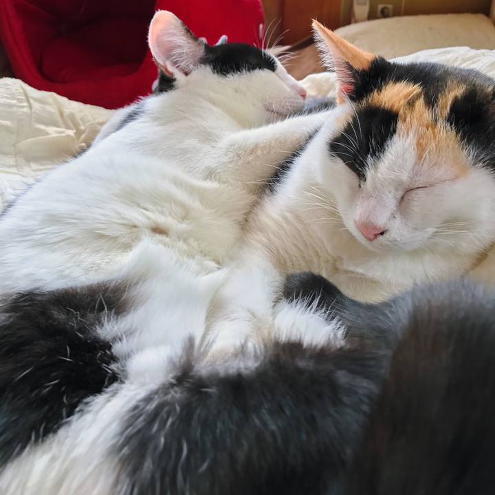 2d5d683f 9274 4c23 851f 27f9ea5cc45c