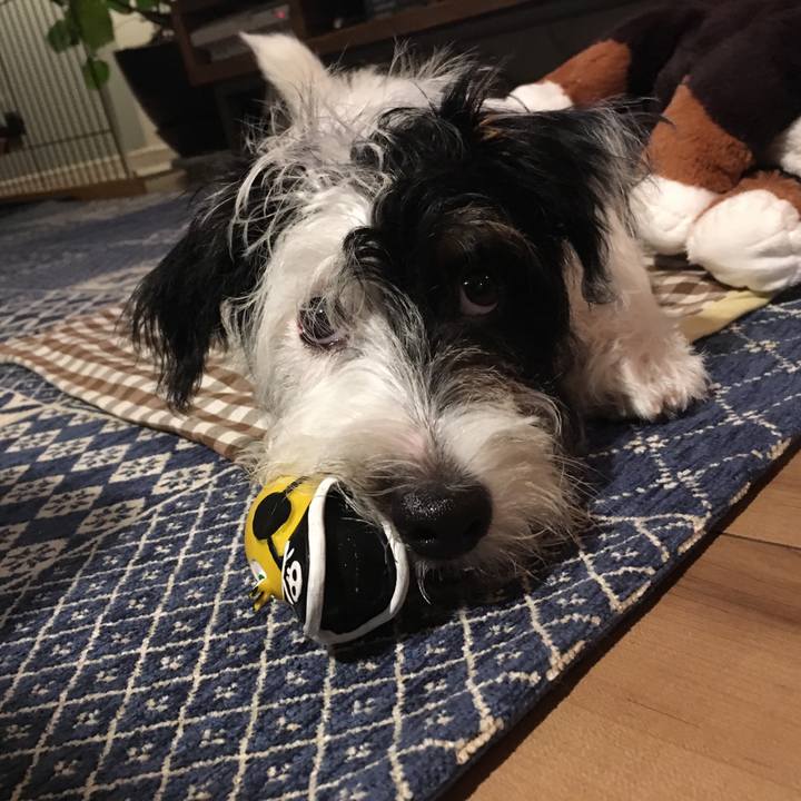 2d5d8824 e856 420e 99c9 5ecb100a40de