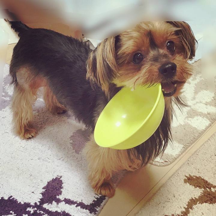 2d5d892d 87b6 49cd a8fe 091c1342e1ea