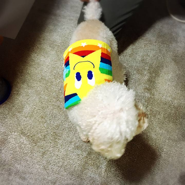 2d5dfef2 ddcd 4965 8cb8 23ae206bf363