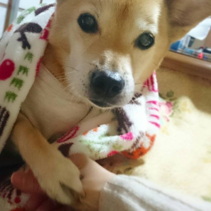 2d5e0620 5f7b 4f27 999f 16ba15499214