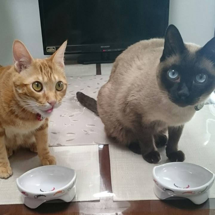 2d5f08c4 eccb 4b3f 892f a849ab514d18