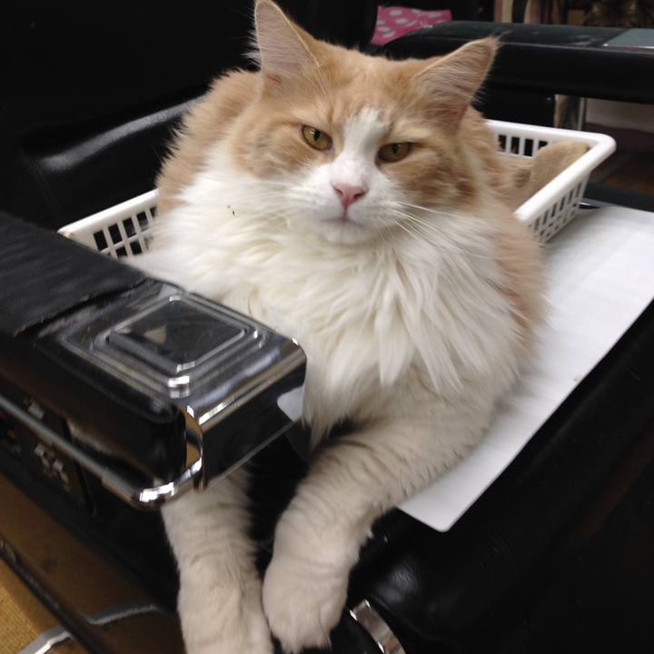 2d5f0fa7 de5b 4b85 9e2f 3b31ad1a1dc1