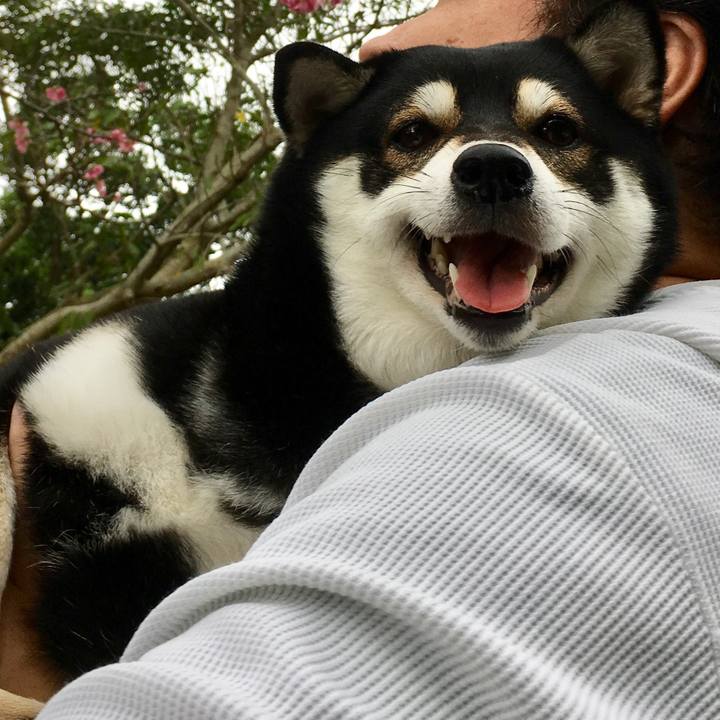 2d5f39b5 74fe 4c71 9745 8eab8eb8e2ec