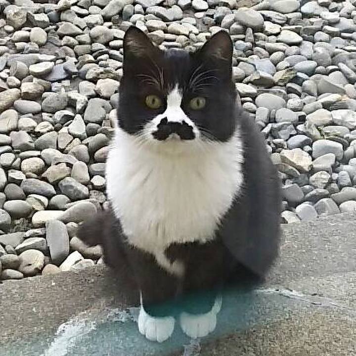 2d5f3a50 48af 4438 a095 4849c03e95cd