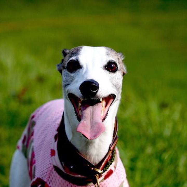 2d5f528d 9470 4d0e b3ad 73fcb55d18a8