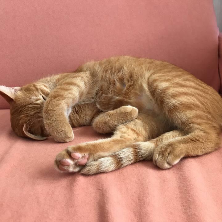 2d5f534b 5d64 4a43 9c66 d7f1cb023f67