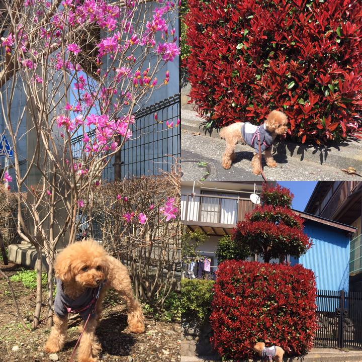 2d5fa2a2 59f5 4c9b b827 133a992a9956