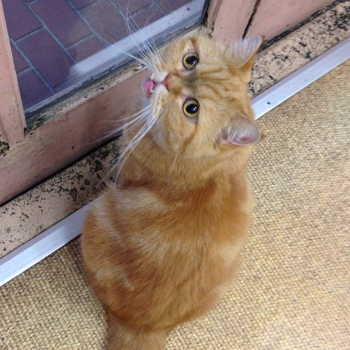 2d5fe1b7 3c1e 4af8 aa7a ee6f665e7b89