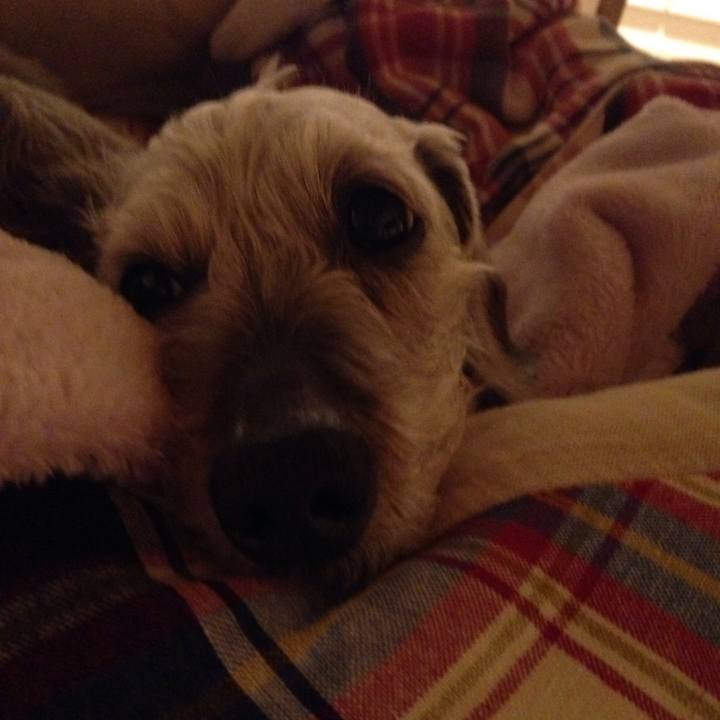 2d601bd8 4453 471d 8f04 5336bf1da26b