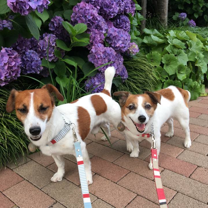 2d60933c 98f3 4bc4 ac41 ffc265e191bb