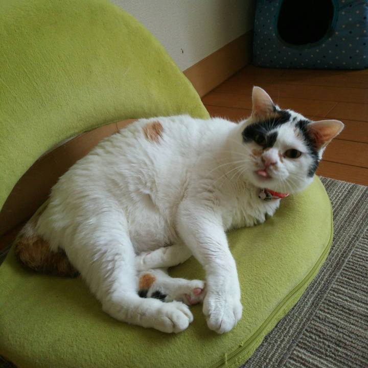 2d609550 3dca 454a b94c 644e6a9e7438