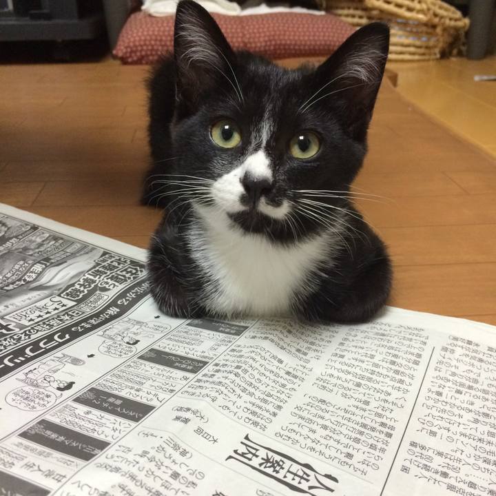 2d60bb7c e22d 47d4 af73 c7552c0cc799