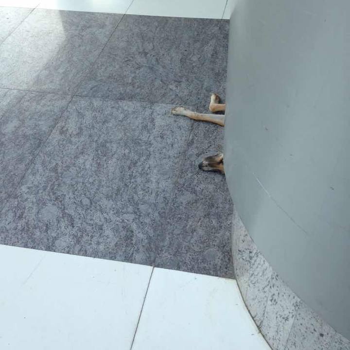 2d6107e6 15ec 4776 b42f 15524e881324