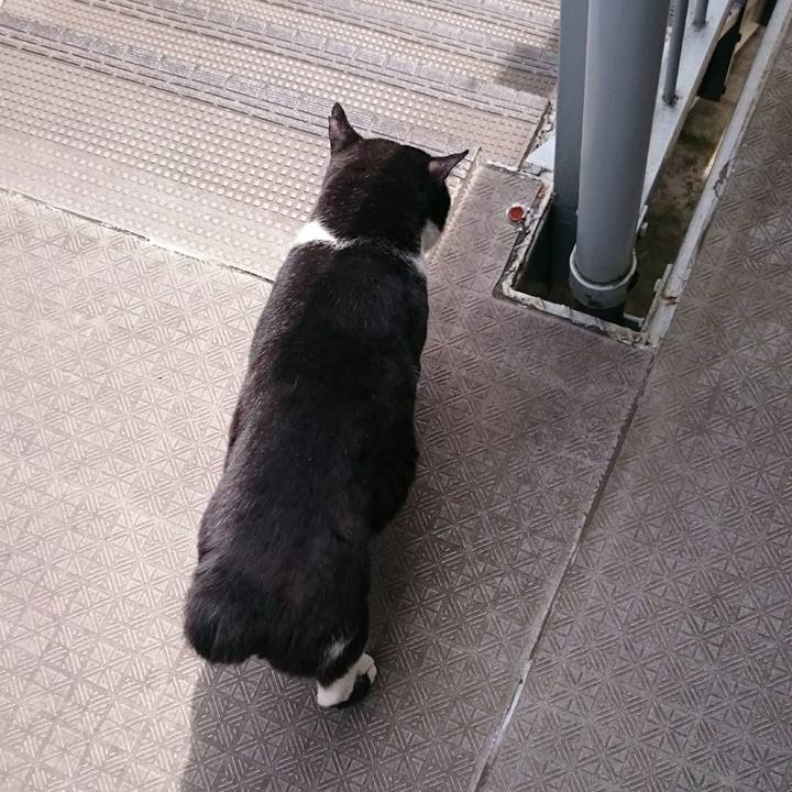 2d6131b4 f17b 4fdb 9c1c da77da27b2a9