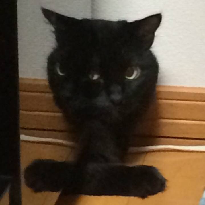 2d613a62 daf4 473d 8144 7138ac99af50