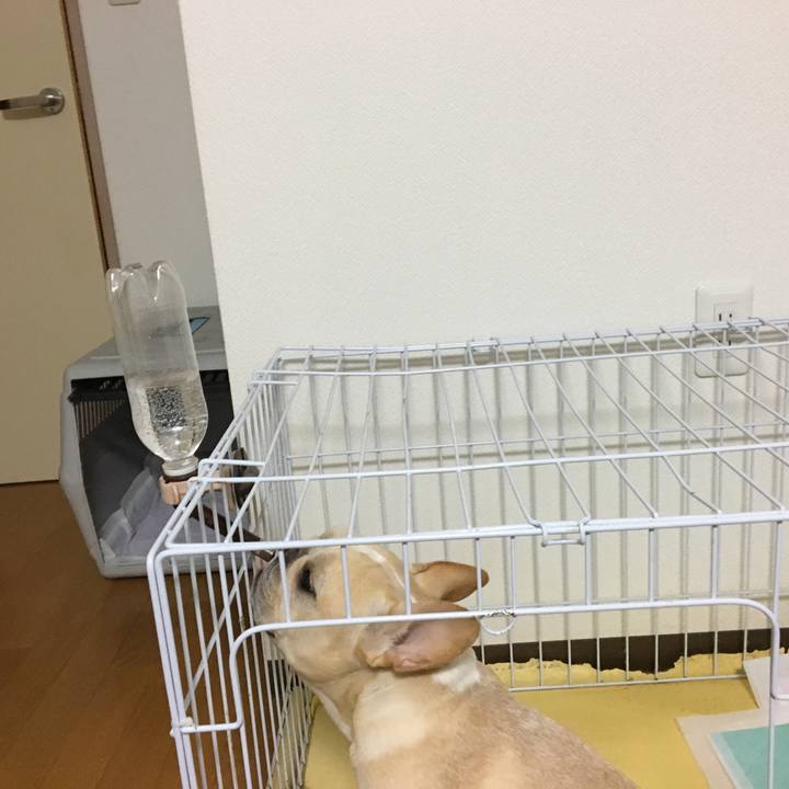 2d614fd9 1e2c 40ef bbd6 38fbd88fe398