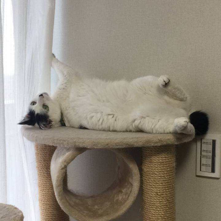 2d616e27 d4d7 4d5b b96e c5038737d435