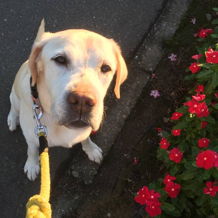 2d62034c c120 40ba b5fa 9c875560881a