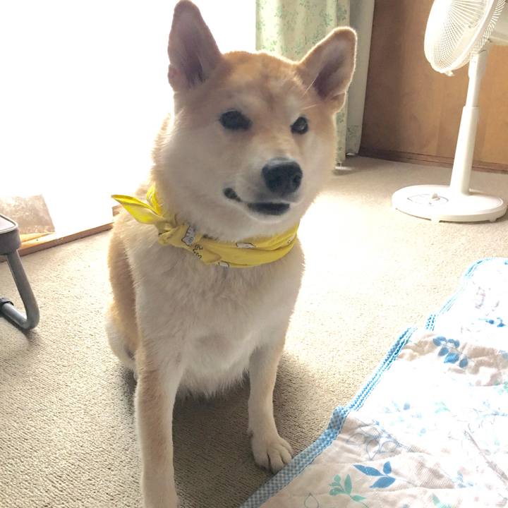 2d626169 f822 4d35 8e93 0329ee67c2c4