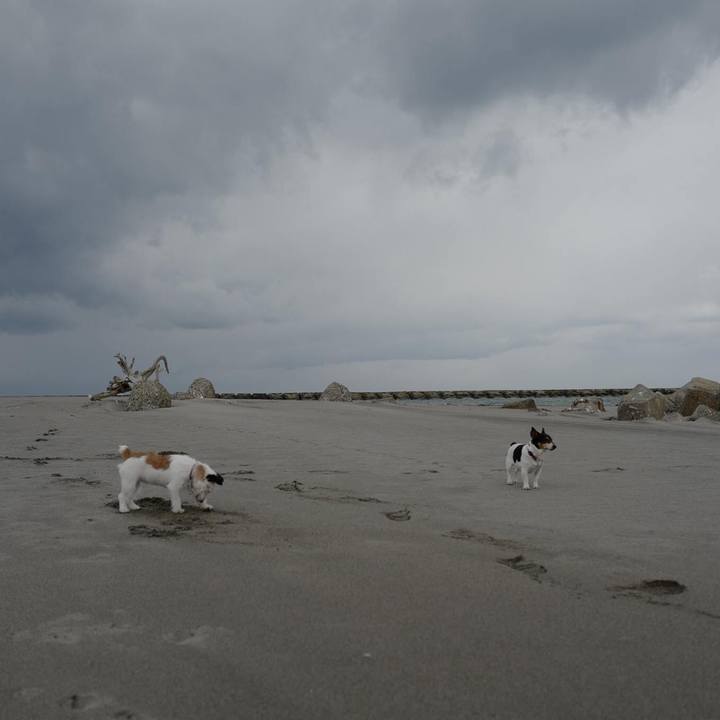 2d63015f 3076 40b5 a901 95b2285fc764