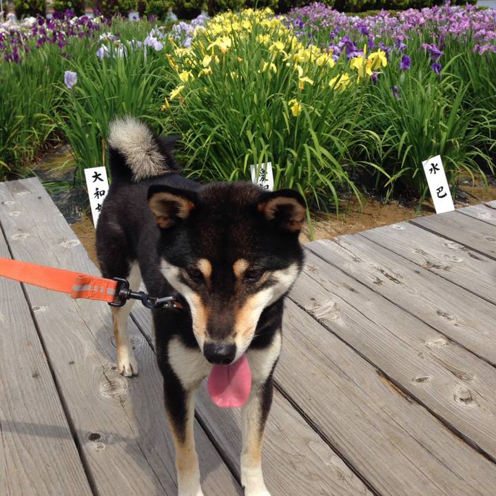 2d632973 3d17 4da6 ba30 bc56be35b816