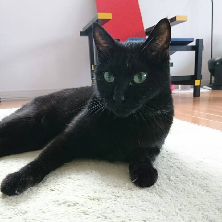 2d63c453 85fc 40a3 8c90 20c1a8515bf7