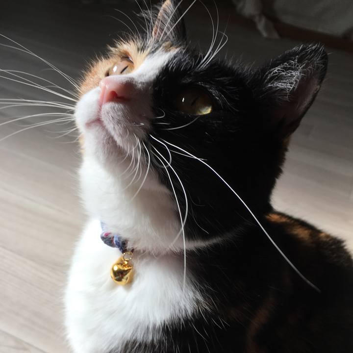 2d63f8b3 6e2c 4c69 b505 54b67ec20ee6