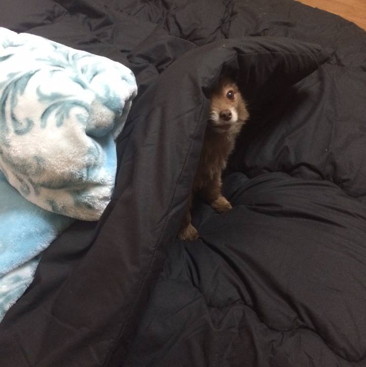 2d641964 6b18 4cda a6b6 1364eb45a681