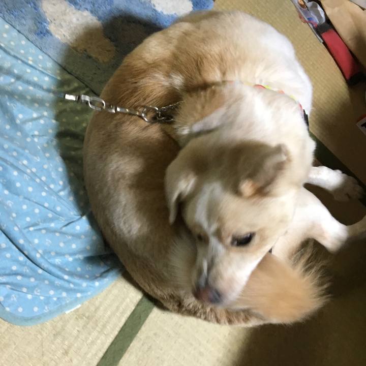 2d641ac6 947c 48c6 a34c bd580898d600