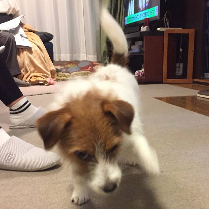 2d64f3d2 8e8f 4c95 bd3d f03483cca2b6