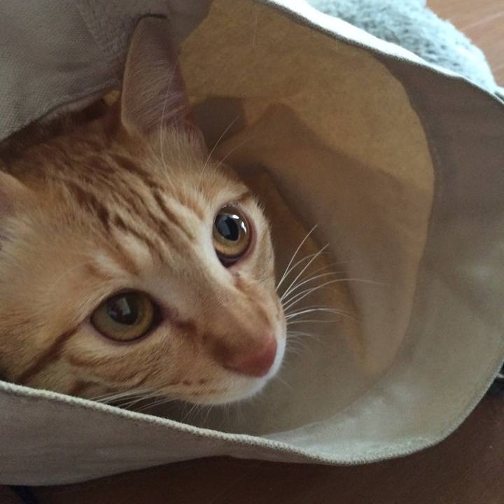 2d6521cd 3bf1 47cd b42d 1fe5790b14ce