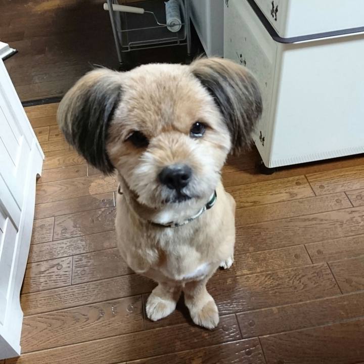 2d65778e b83d 4331 8bea f31255bdbf16