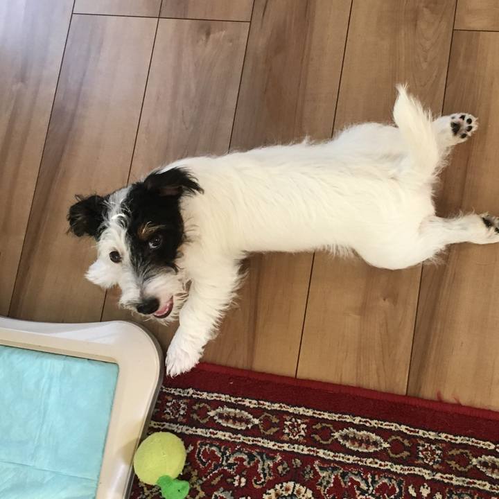 2d66d884 1df7 4ee0 97f0 3b4e846034d3