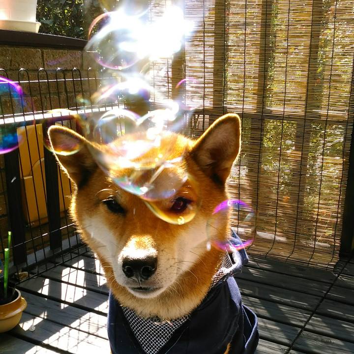 2d66e675 0202 4852 9ee2 53f80f93c1d3