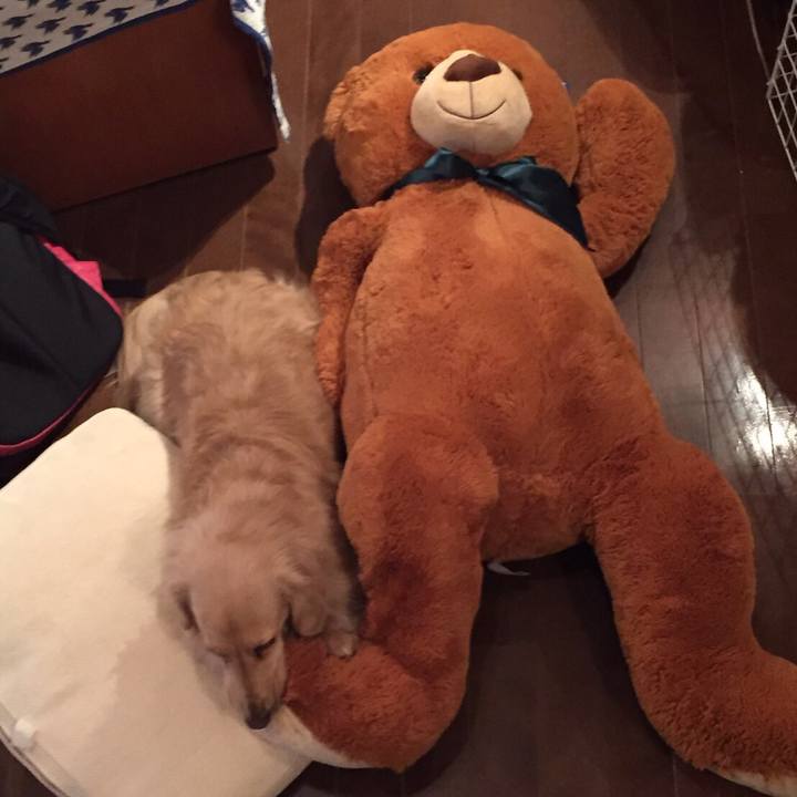 2d672739 cbd1 4818 bb8e 09526c7b1938