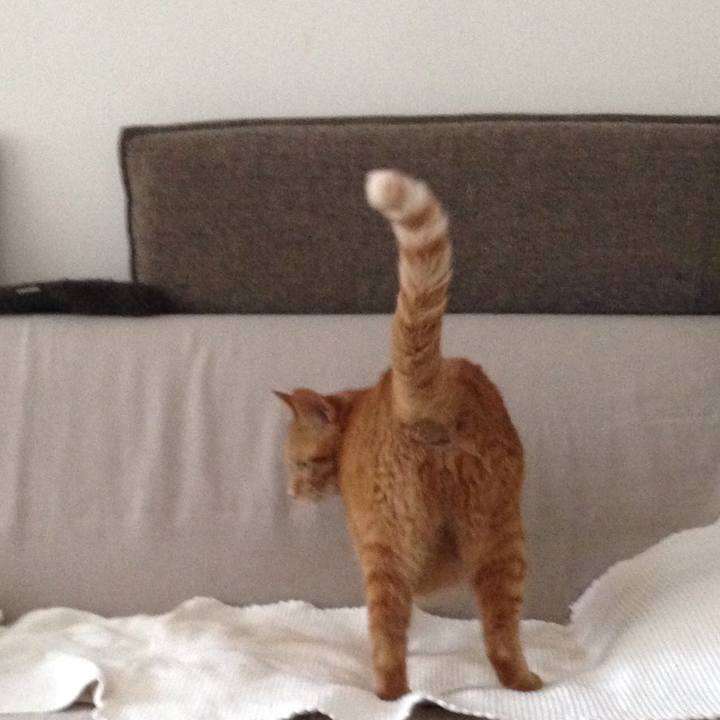 2d6731d9 3049 4c4a bdb2 cea6f95c8e78