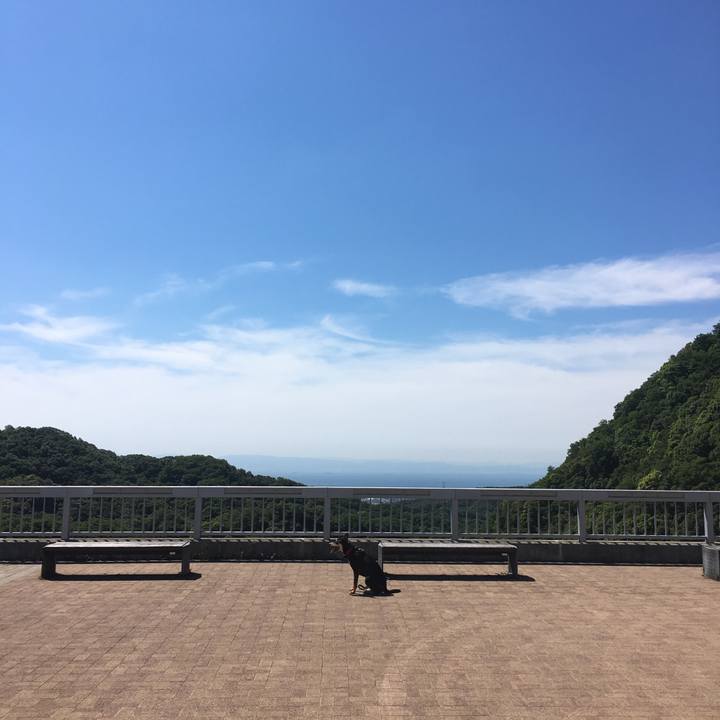 2d675ad4 6a12 4a3a ba6d acffbe2ffa7f