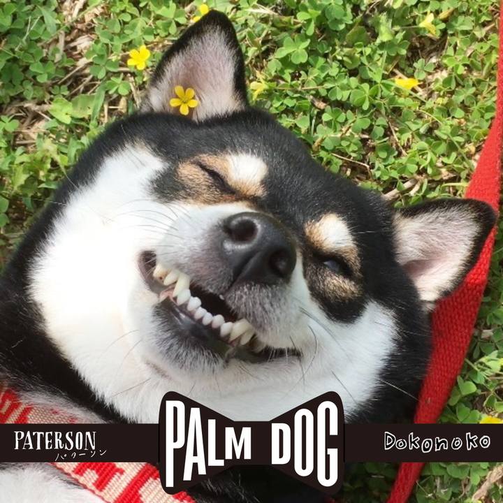 2d6769c9 477c 4de2 a2e7 a7e5658d3599